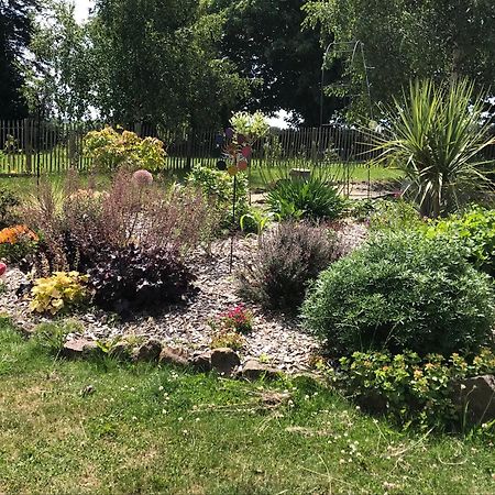 Le Jardin Des Fees Bed & Breakfast Savigny-le-Vieux Luaran gambar