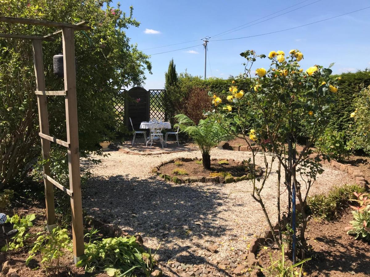 Le Jardin Des Fees Bed & Breakfast Savigny-le-Vieux Luaran gambar